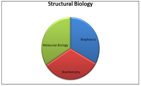 Synchrotron Radiation in Structural Biology